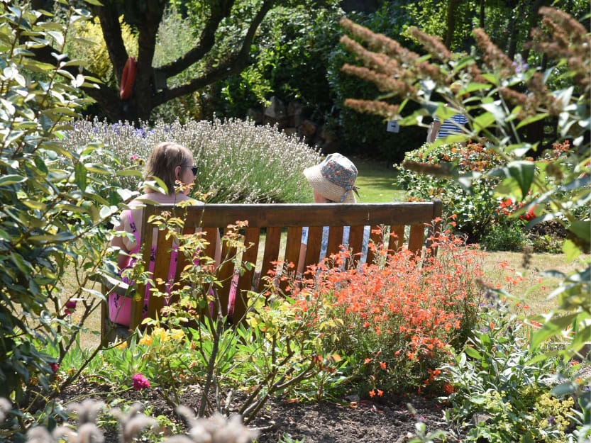 Two visitors sitting on a bench in the sunshine. The photograph is taken from behind and they are surrounded by plants and foliage which frames the shot